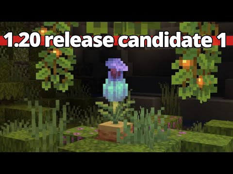 Minecraft 1.20 release candidate 1 – Fixed bugs with shelving and pitcher plants