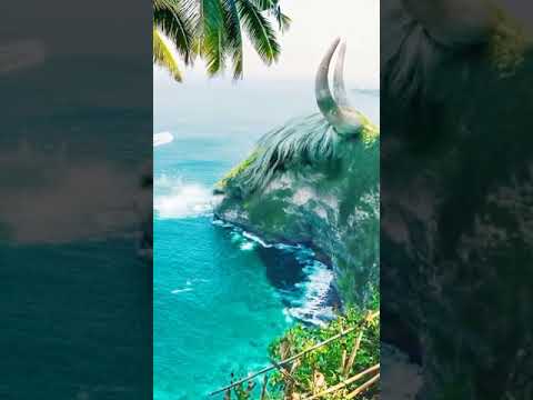 Beautiful nature video #sandhya #short