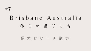 No. 7 [オーストラリア ブリスベン - 休日の過ごし方] 仔犬とビーチ散歩