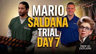 Mario Fernandez Saldana Trial - Day 7