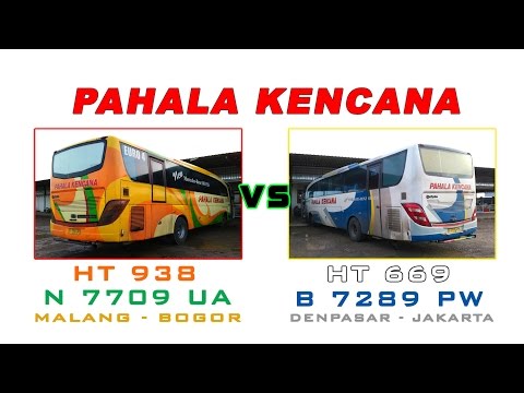 BATTLE OF PAHALA KENCANA - N 7709 UA (HT 938) VS B 7289 PW (HT 669)