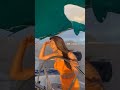 Actress Sakshi Agarwal Celebrates Her Birthday At A Boat Sakshiagarwal Bday Bdayvideo