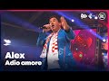 Alex - Adio amore // Sterren NL Carnaval 2023