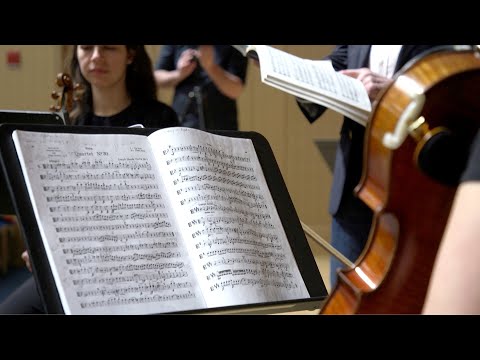 Haydn: String Quartet, op. 74 no. 3 "The Rider" - 1st mvt (Benjamin Zander - Interpretation Class)