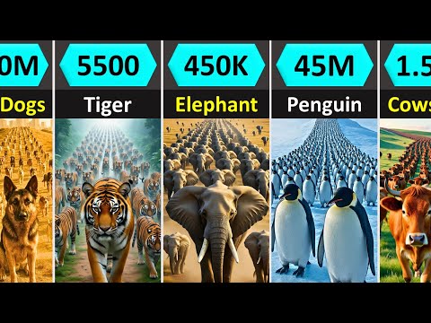 Animal Population Comparison (Rarest to Most Common on Earth)