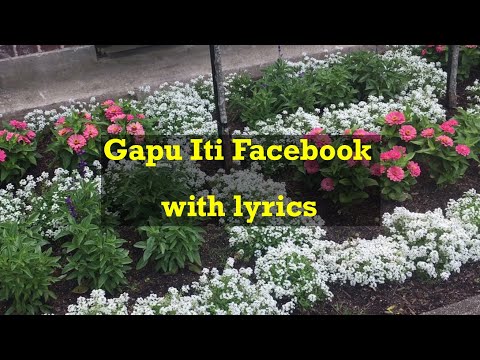 Gapu Iti Facebook with lyrics