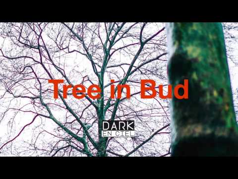 Dark En Ciel: Tree in Bud (The Sound Of Everything)