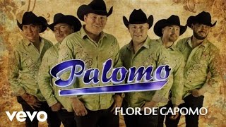 Palomo - Flor De Capomo (Lyric Video)