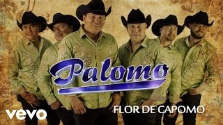 Flor De Capomo Music Video