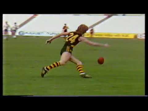 1982 Round 12 Glenelg 12.13 85 d Central 9.9 63
