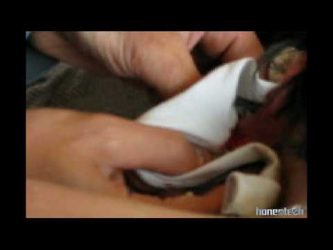 comment soigner furoncle chien