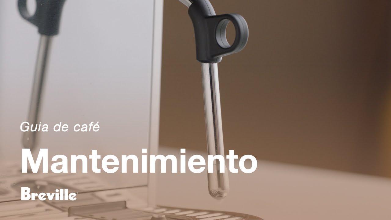 Cómo limpiar y desatascar la lanceta
