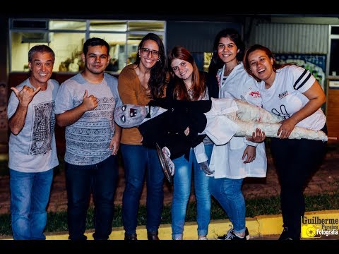 Curta - Te Espero na Saída - Ulbra Canoas