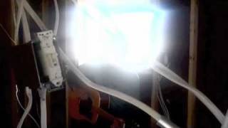 Elvis Costello - King Horse - by Thee Skiffle Kings