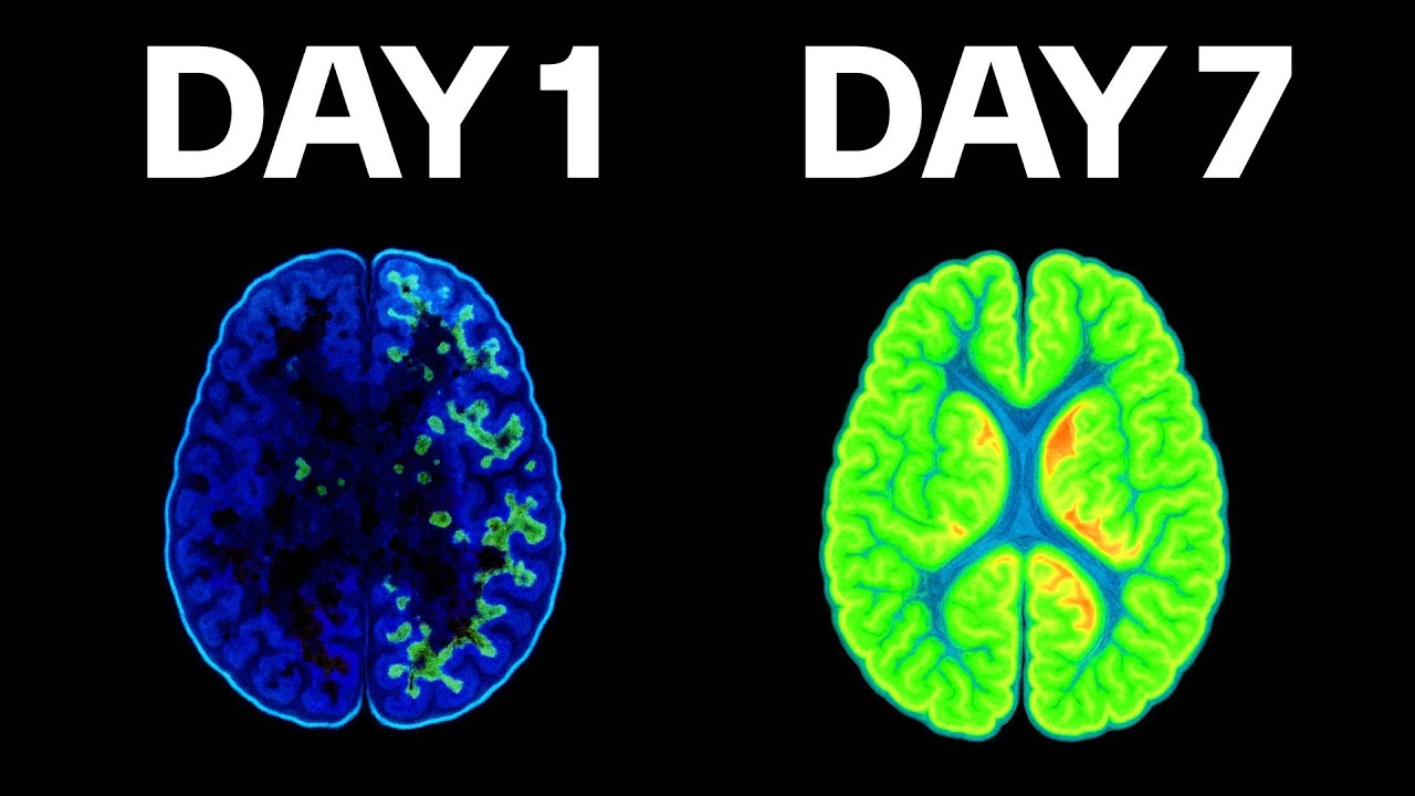 The Most Overlooked Habits Wasting Your Time (Reclaim 11+ Years Now!)