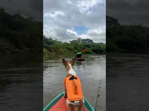 De caique no rio dos bois