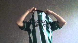 Fan de Saint-Etienne