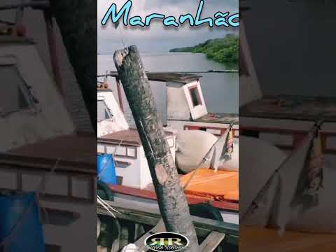 Primeira Cruz Maranhão