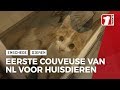 Uniek: een couveuse voor huisdieren