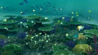 Endless Ocean: Blue World --The Last Rose of Summer