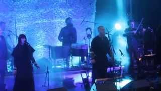 wardruna rotlaust tre fell