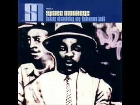 We Are the Supercool - Space Monkeys