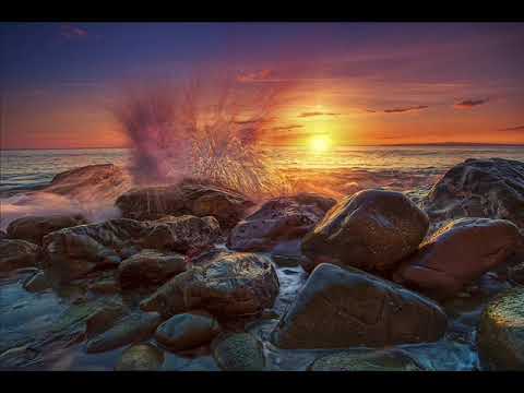 Pelayo Vallejo - El Mundo Es Un Mercado