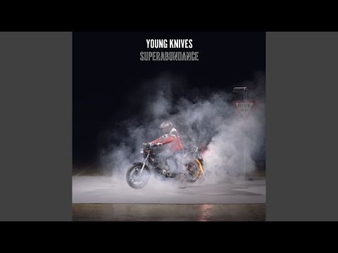 Swimming with the Fishes