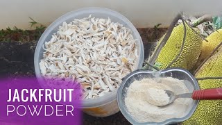 Weight Loss Powder | ഷുഗർ ഉള്ളവർക്ക് വയർ നിറയെ കഴിക്കാൻ | Jackfruit Powder Recipe for Diabetes