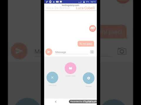 Chat tra Luca Cobelli e Alice de Bortoli 2 parte