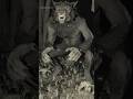Hombre Lobo o Lobizón captado por cámara trampa #werewolf #folklore #creepy #argentina #paraguay