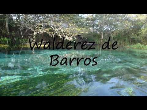 How to Pronounce Walderez de Barros?