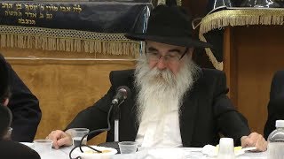 התוועדות כד טבת הרב יצחק גולדברג חלק א שנת תשע"ט