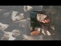 Cody Johnson - Jesus Loves You (Visualizer)