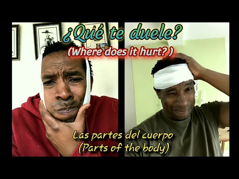 ¿Qué te duele? (Where does it hurt?) Parts of the body - Spanish song (Reggaeton)