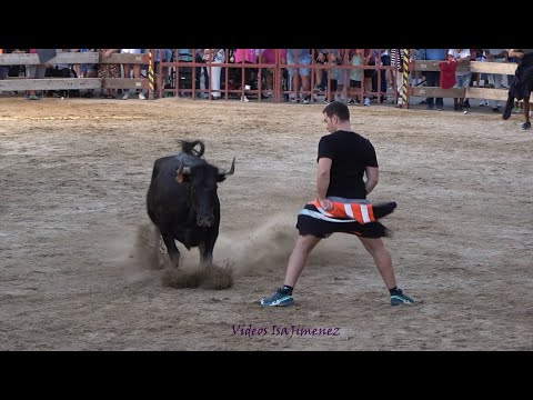 Luceni (Zaragoza) - Suelta de reses - 30/08/2025 - HD