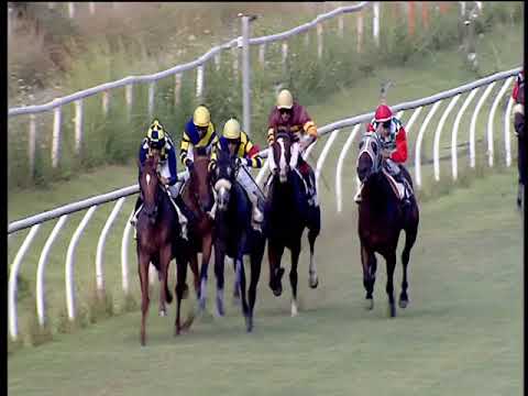 Galoppo 27/07/2018 - 2ª corsa