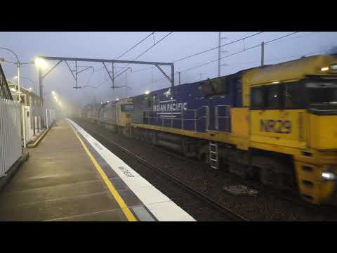 NR29 IP / AN1 / NR45 with PN 6AB6 - 19/5/19