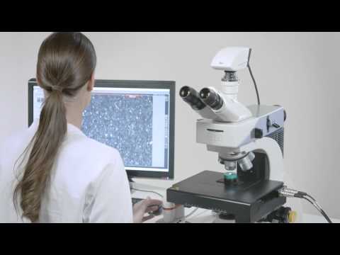 download lagu mp3 mp4 Jomesa Microscope, download lagu Jomesa Microscope gratis, unduh video klip Download Jomesa Microscope Mp3 dan Mp4 320kbps Gratis