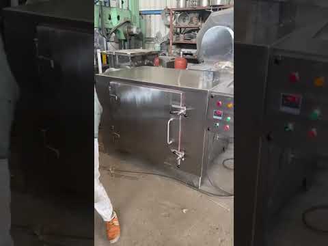 SS Tray Dryer