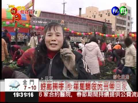 年節試手氣! 蘿蔔綁元寶隨你拔