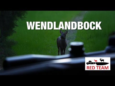 Jägerfrühstück aus dem Wendlandbock - Jagen und Kochen mit Freunden