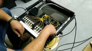 Como montar um DIO - Entrada de cabo e organização da bandeja - AULA 1