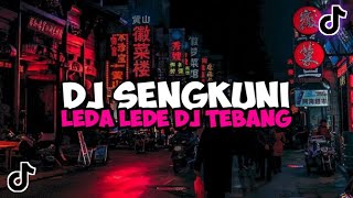 Download lagu DJ SENGKUNI LEDA LEDE HOREG DJ TEBANG SLOWED RIIOI... mp3