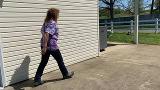 The Thinking dog Part 2