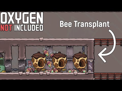 Radbolts, Diamond and Bees! | Max Diff Achievement Run | Ep 17 | ONI