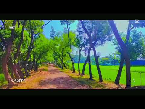 Nature is love🤌🏻🍃🍀 #viralvideo #aestheic #trending #nature #best #viralvideo