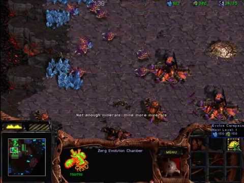 StarCraft - Zerg mission #4 :AGENT OF THE SWARM