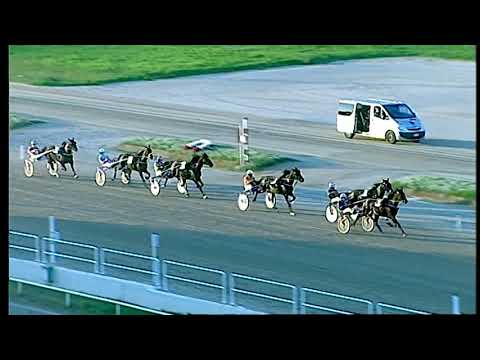 Napoli Trotto 19/11/2021 - 4ª corsa