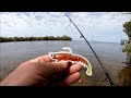 My Last Days of Vacation!(JACK CREVALLE & BLUEFISH!) - FLORIDA Saltwater Fishing!